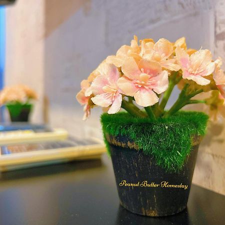 Peanut Butter Homestay #Trefoil Setia City Сетия-Алам Экстерьер фото